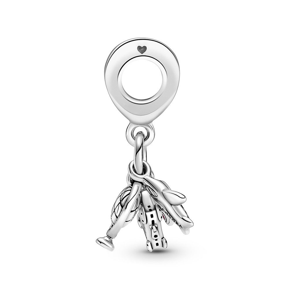 Sterling Silver Charm / 799435C01