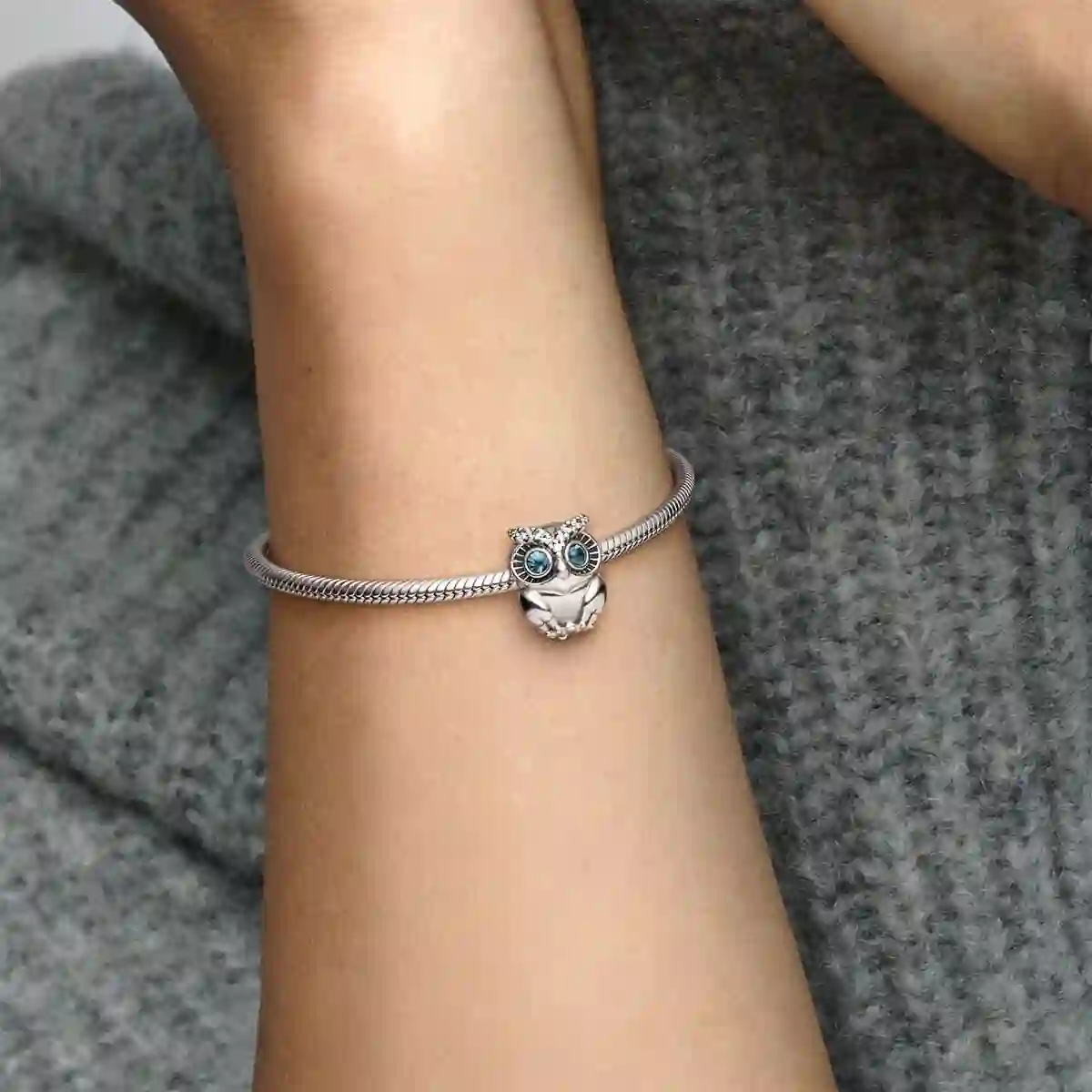 Moments Sterling Silver Charm / 798397NBCB