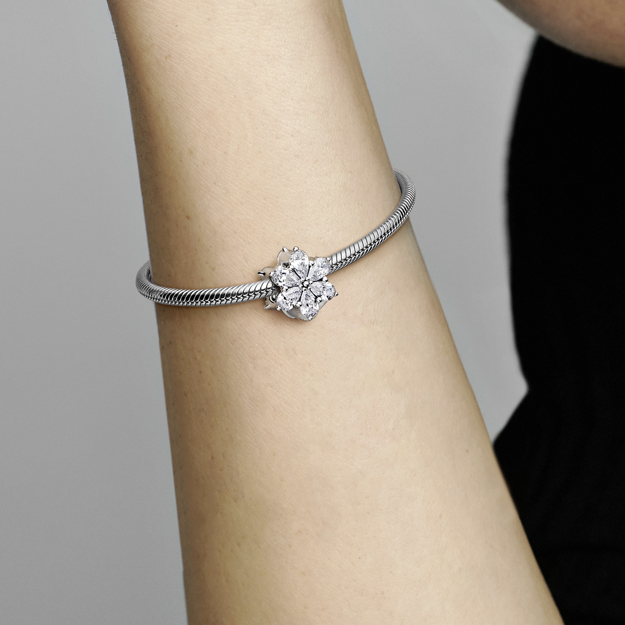 Moments Sterling Silver Charm / 792623C01