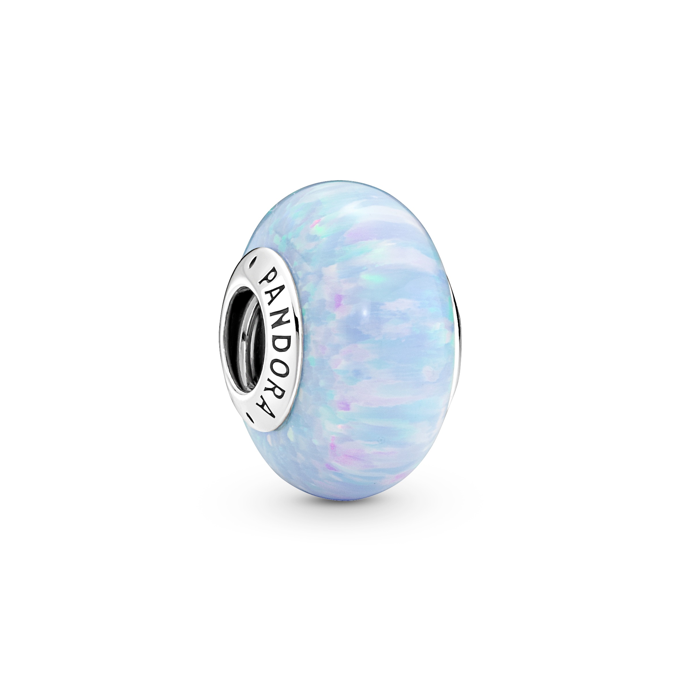 Sterling Silver Charm / 791691C01