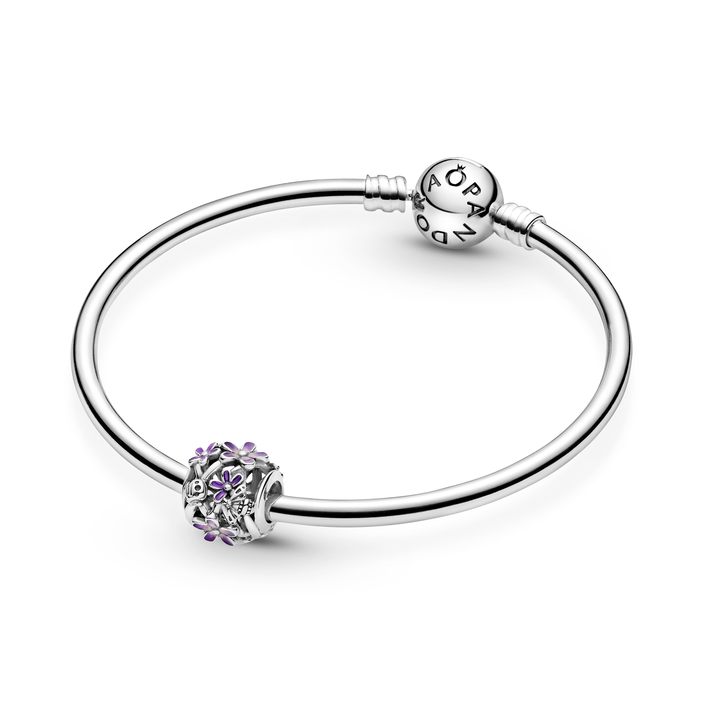 Sterling Silver Charm / 798772C02