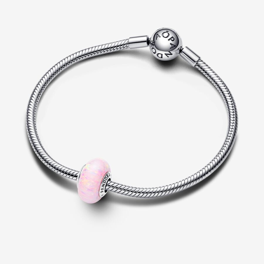 Sterling Silver Charm / 791691C03