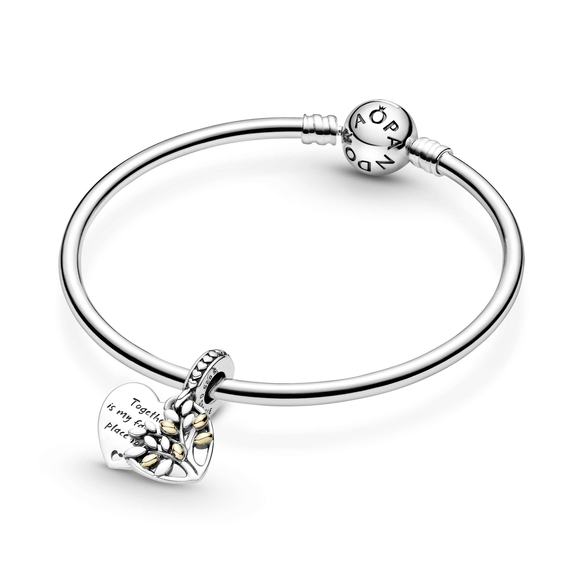 Moments Sterling Silver Charm / 799161C00