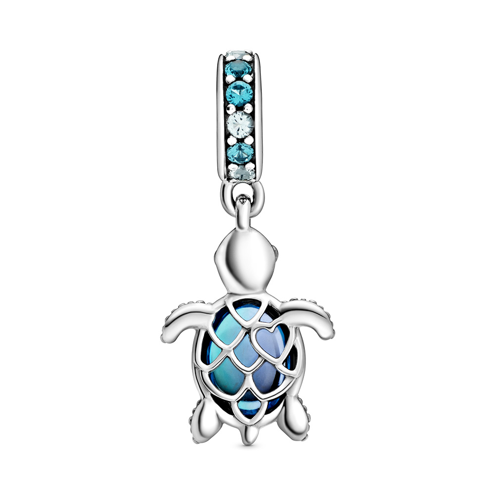 Sterling Silver Charm / 798939C01