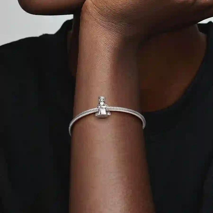 Moments Sterling Silver Charm / 798413C00