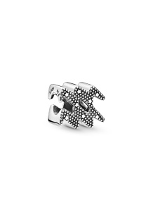 Moments Sterling Silver Charm / 798415C01