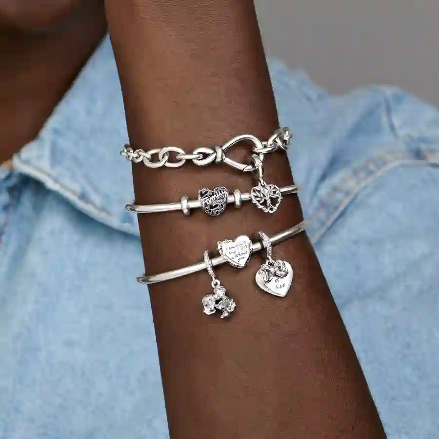 Moments Sterling Silver Charm / 798571C00