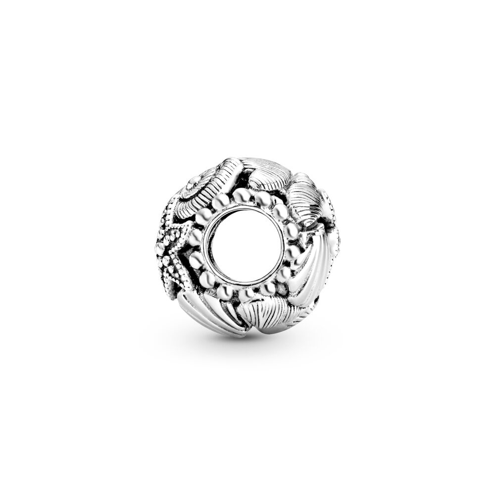 Sterling Silver Charm / 798950C00
