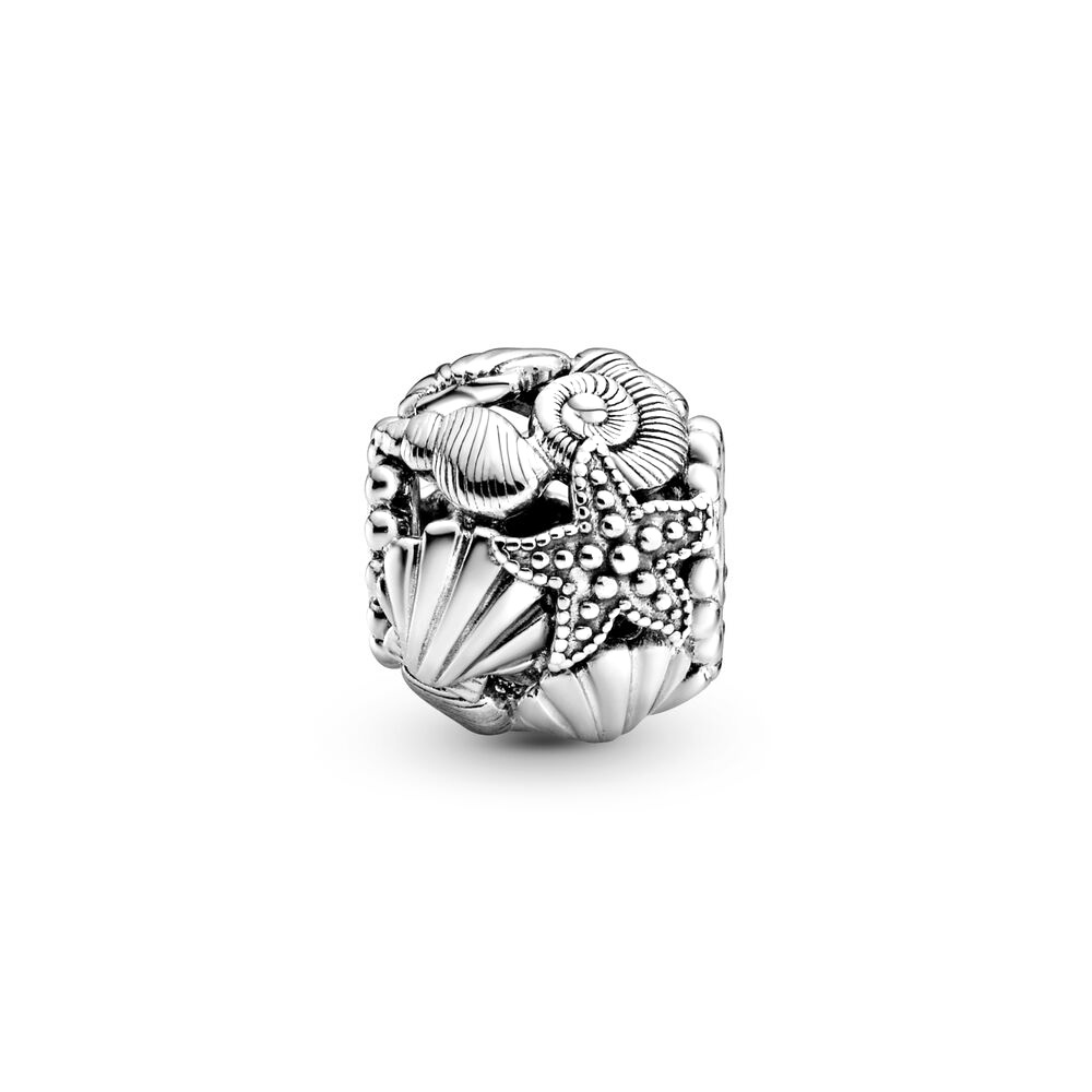 Sterling Silver Charm / 798950C00