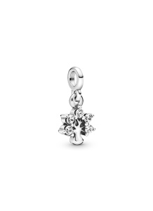 Sterling Silver Charm / 798367CZ