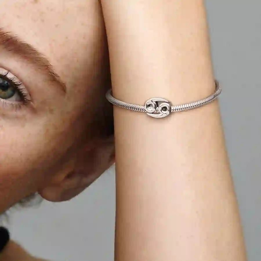 Moments Sterling Silver Charm / 798434C01