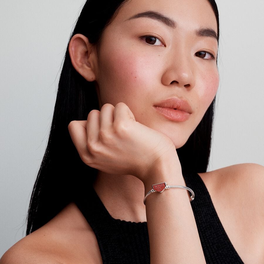 Stranger Things snake chain sterling silver bracel