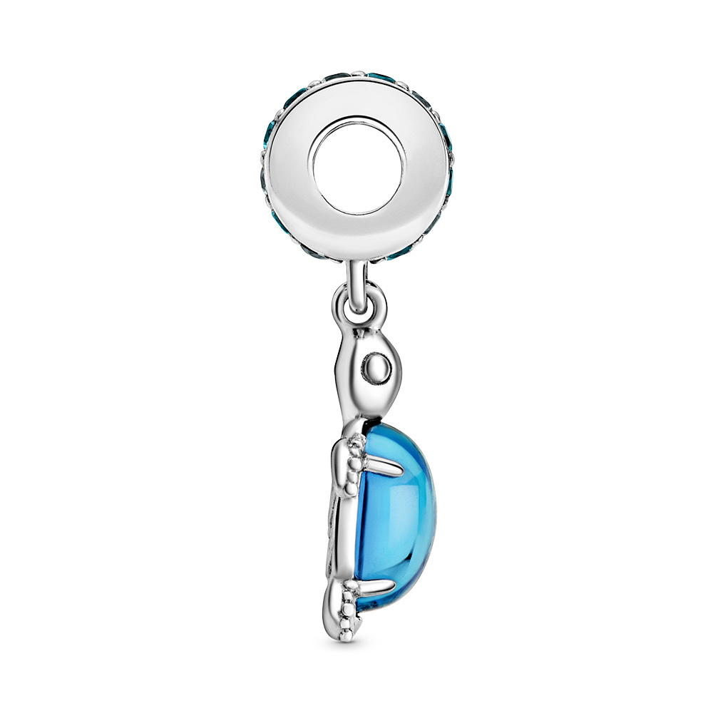 Sterling Silver Charm / 798939C01