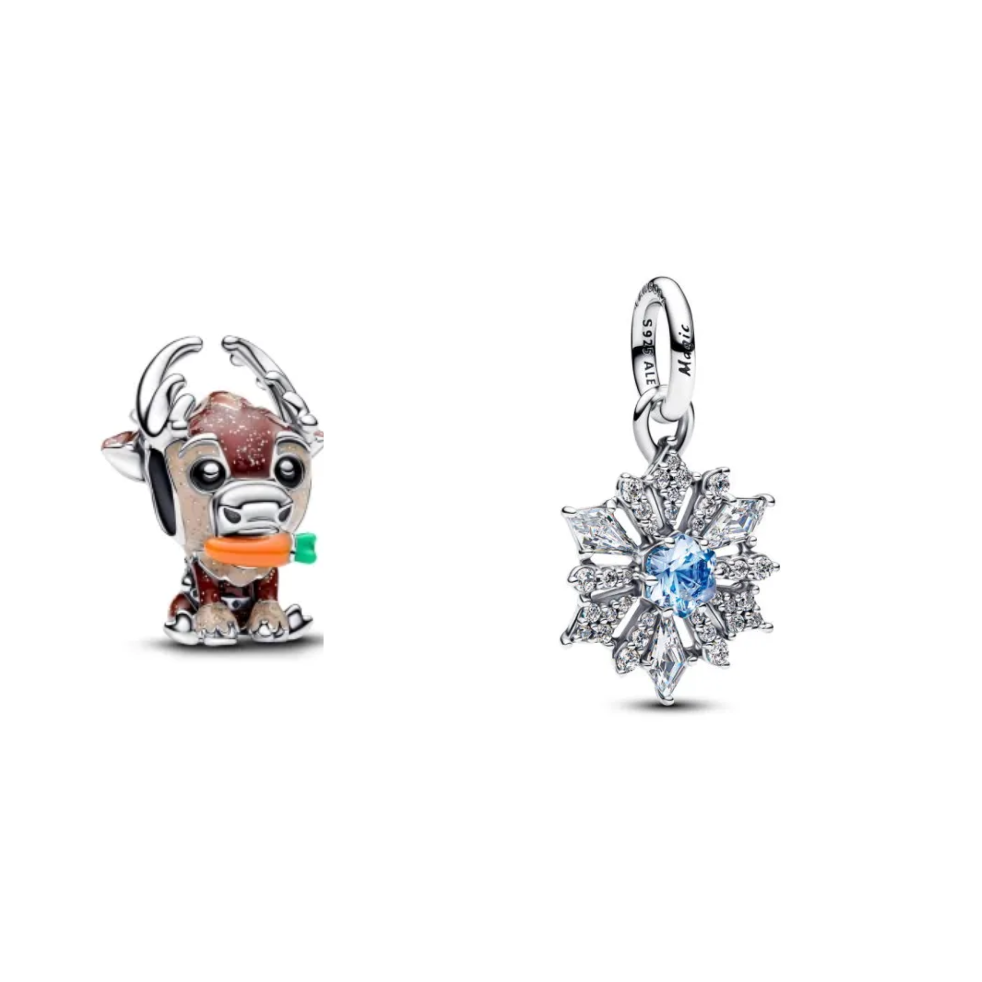 Disney Frozen Charm set
