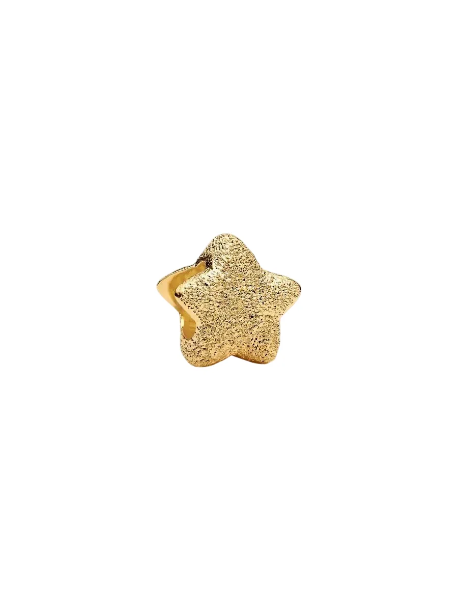 Textured star 14k gold-plated mini charm