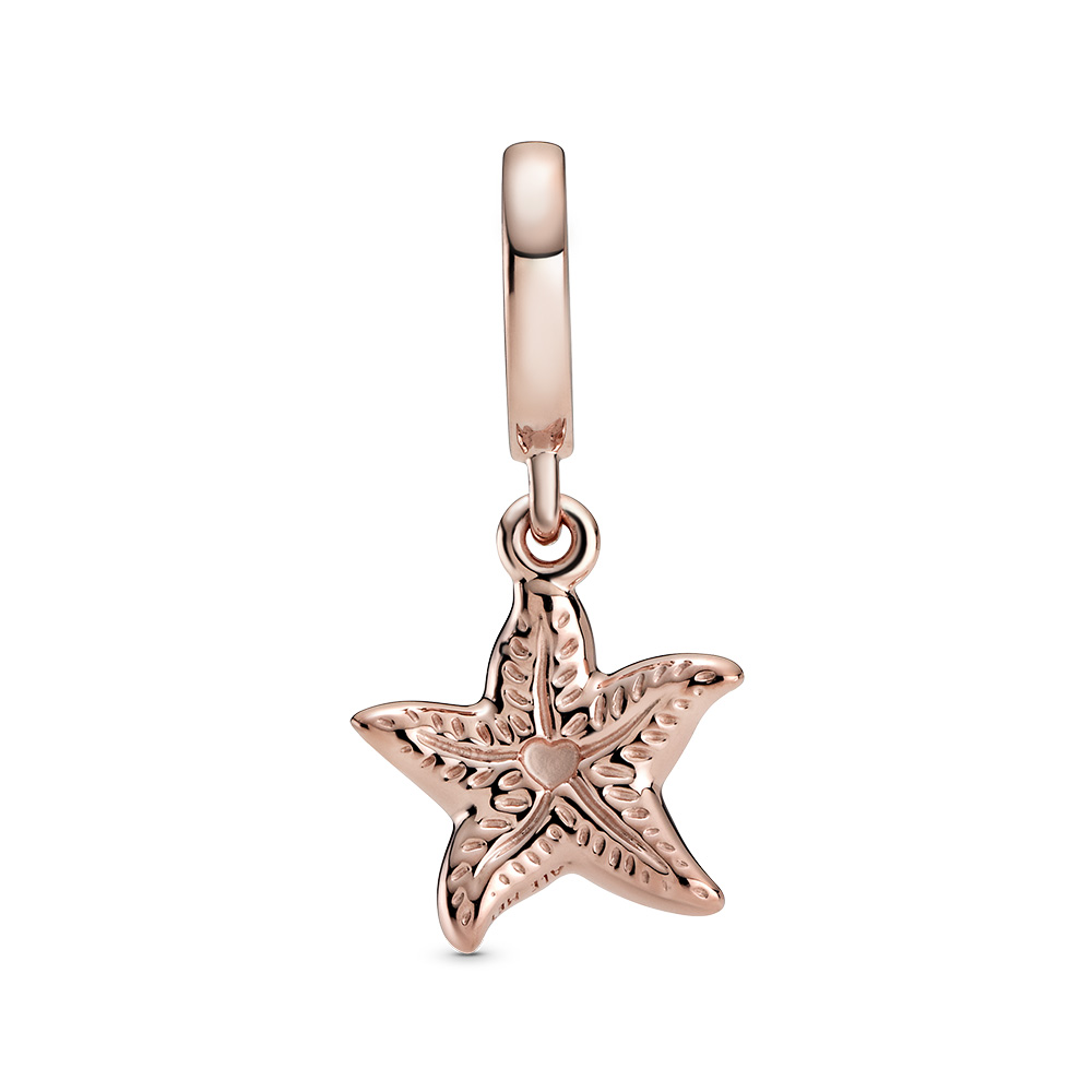 Sterling Silver Charm / 788942C01