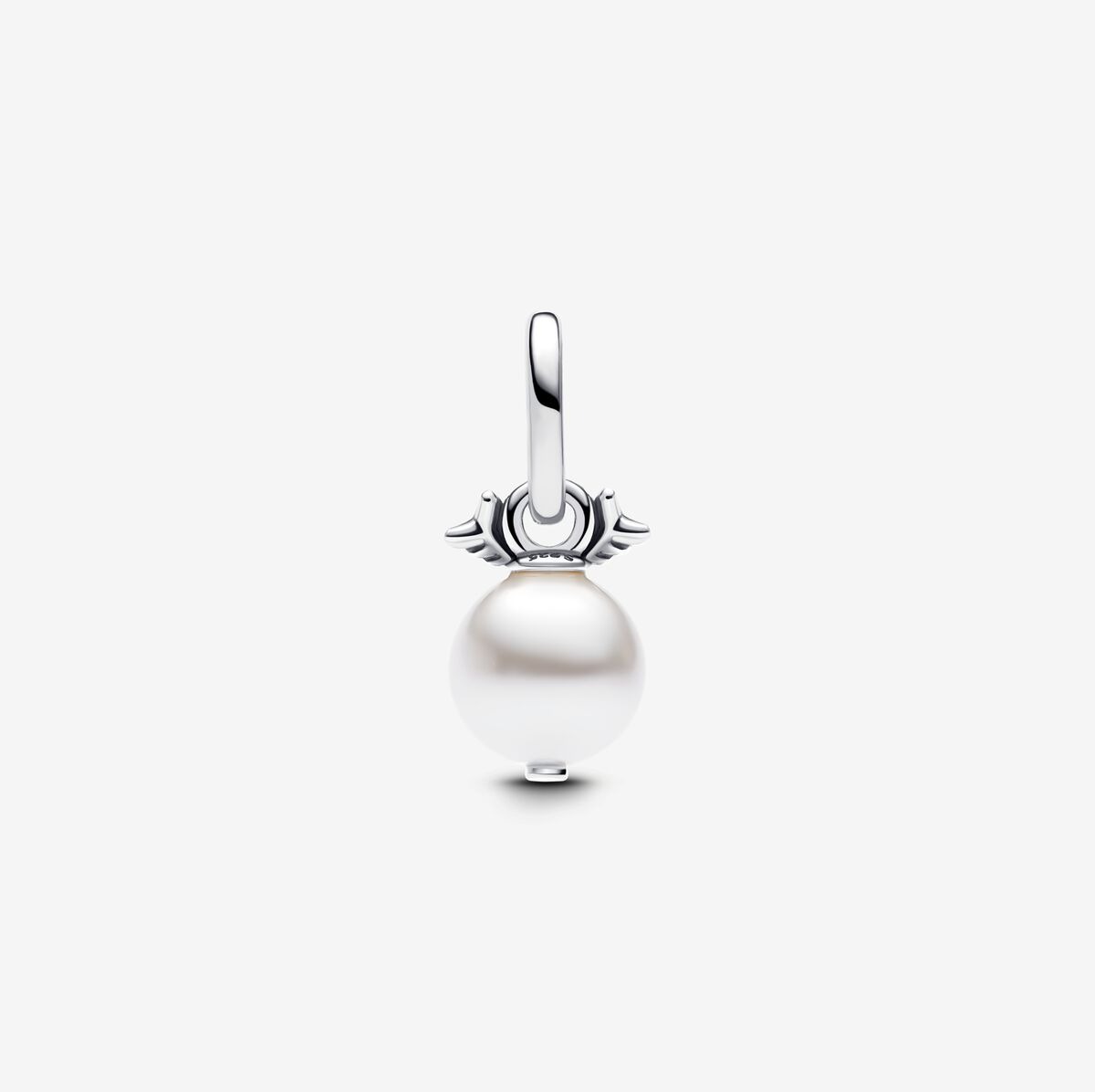 PANDORA Silver Charm/793687C01