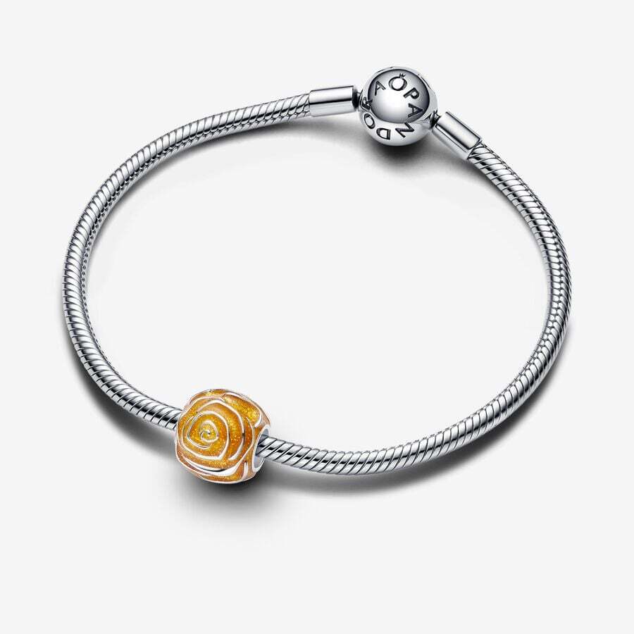 Moments Sterling Silver Charm / 793212C02