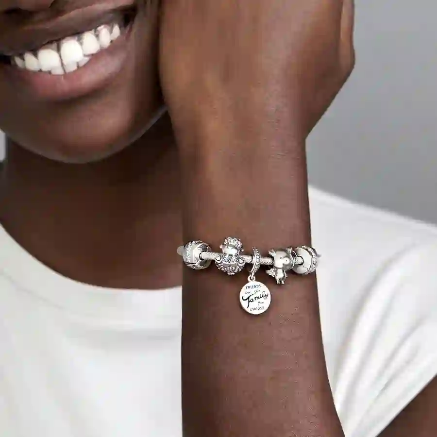 Moments Sterling Silver Charm / 798124EN16