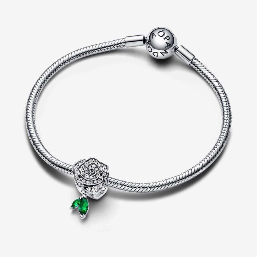Moments Sterling Silver Charm / 793201C01