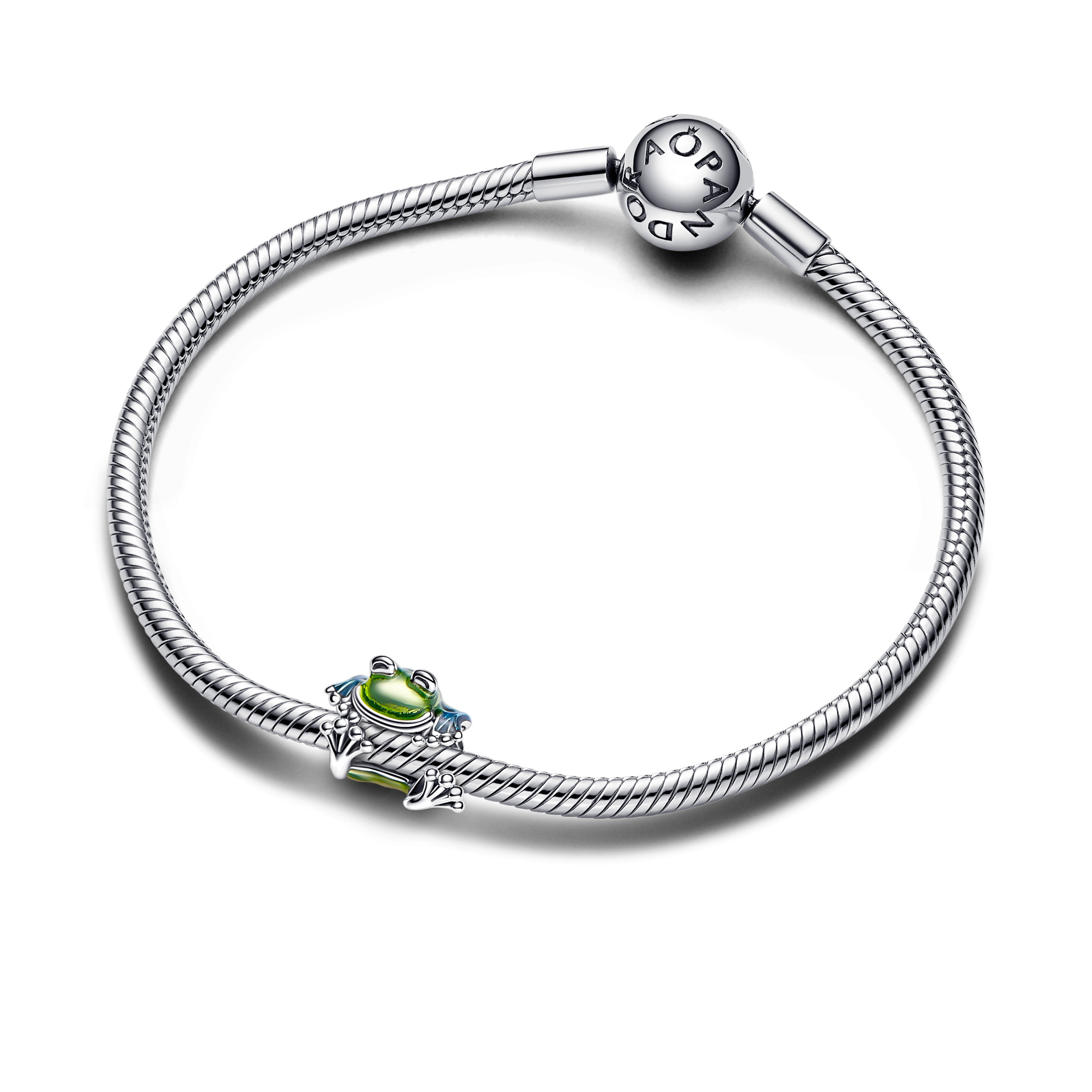 Moments Sterling Silver Charm / 793342C01