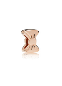 Reflexions Sterling Silver Charm / 787582